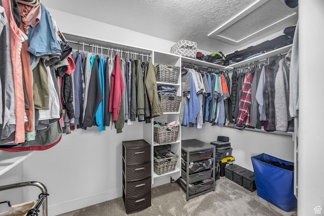 203 E Deer Run Loop Unit 40, Elk Ridge, UT 84651 - walk in closet featuring attic access and carpet