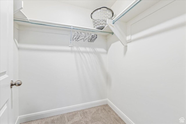 walk in closet featuring carpet flooring