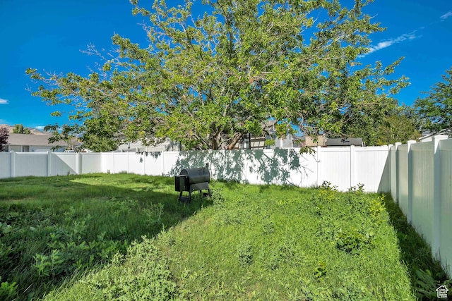 view of yard featuring a fenced backyard