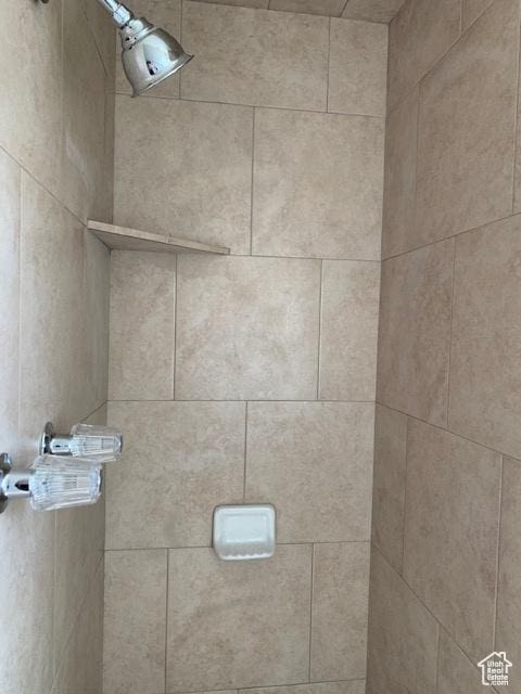 room details with tiled shower
