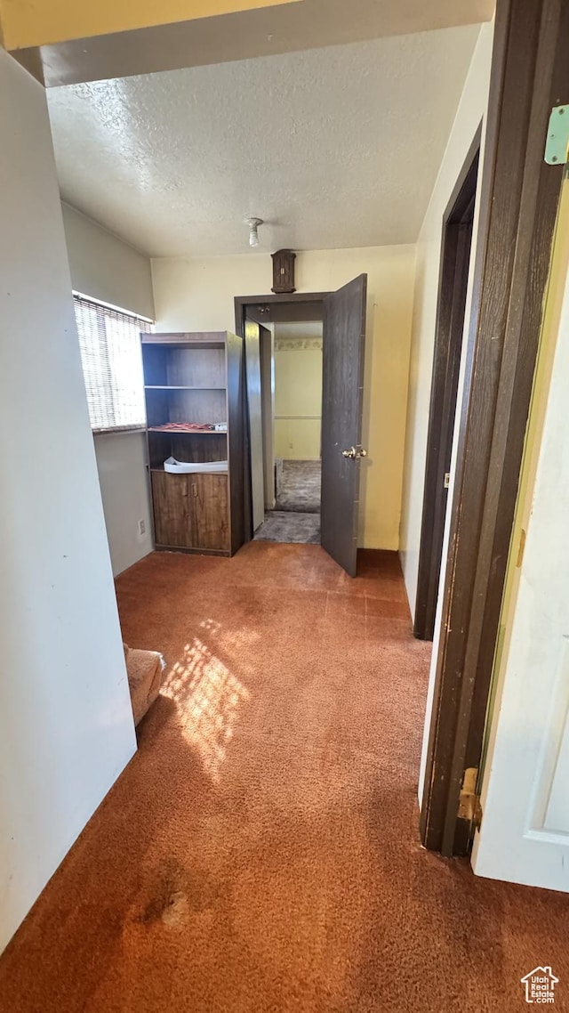 1010 Sullivan Rd, Ogden, UT 84403 - hall with carpet floors and a textured ceiling