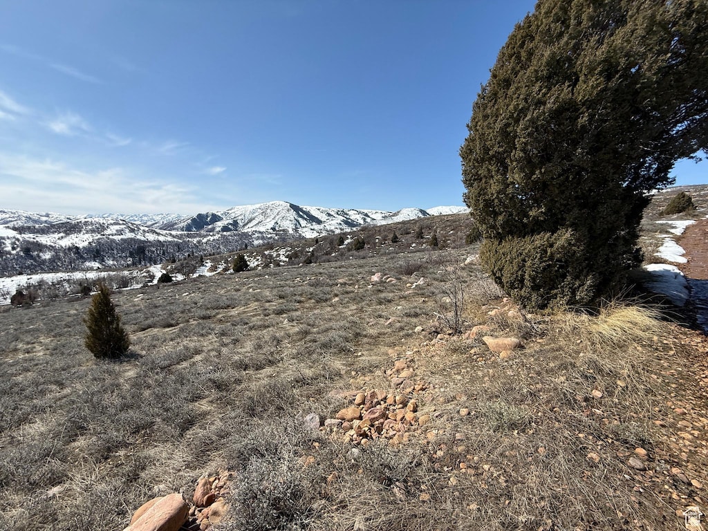 3007 N Cherry Ln Unit 471, Huntsville, UT 84317