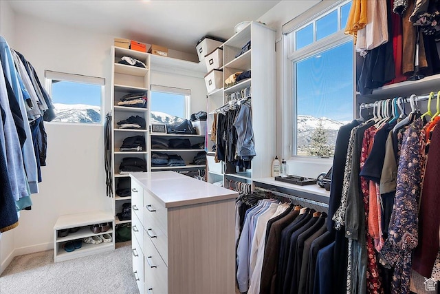 spacious closet with carpet