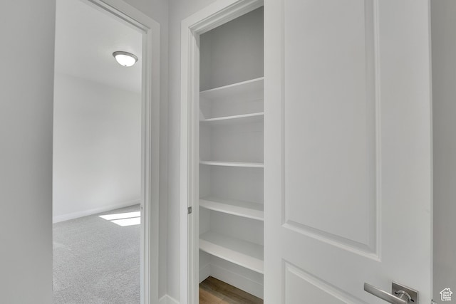 view of closet
