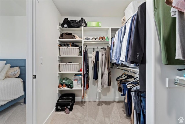 987 S 950 W, American Fork, UT 84003 - spacious closet featuring carpet