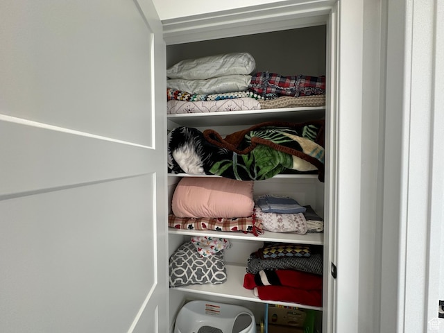 view of closet