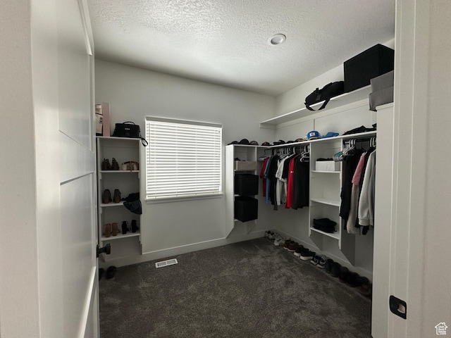 spacious closet with visible vents and carpet flooring