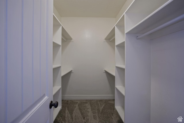 406 N 1420 E, Provo, UT 84606 - walk in closet featuring carpet