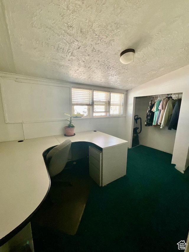 home office with carpet floors and a textured ceiling