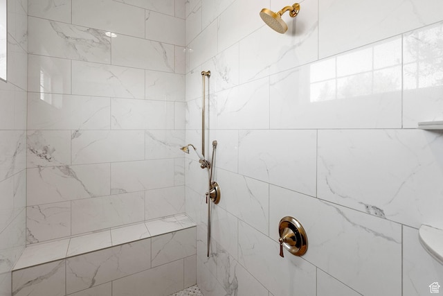 2917 S Old Farm Rd, Washington, UT 84780 - bathroom with a tile shower