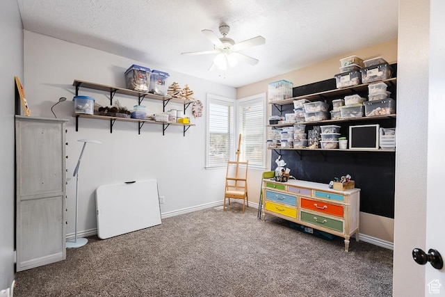 841 E Nichols Canyon Rd, Cedar City, UT 84721 - interior space featuring ceiling fan