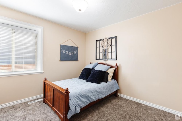 841 E Nichols Canyon Rd, Cedar City, UT 84721 - bedroom with baseboards, carpet floors, and visible vents