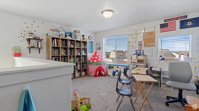 1474 E 480 S, Hyrum, UT 84319 - view of carpeted office