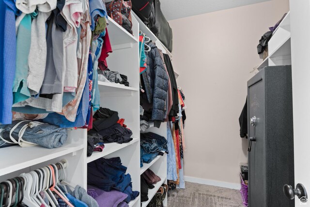 1984 S 4300 W, Ogden, UT 84401 - spacious closet featuring carpet