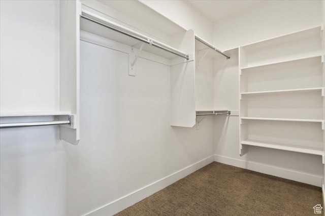 walk in closet featuring dark colored carpet