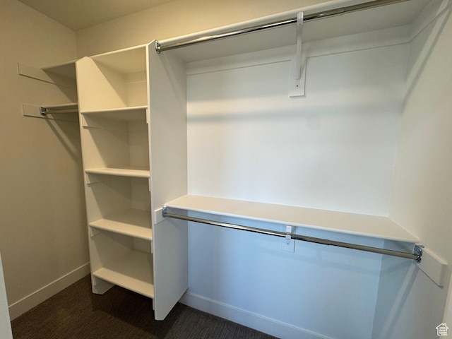 spacious closet with dark colored carpet