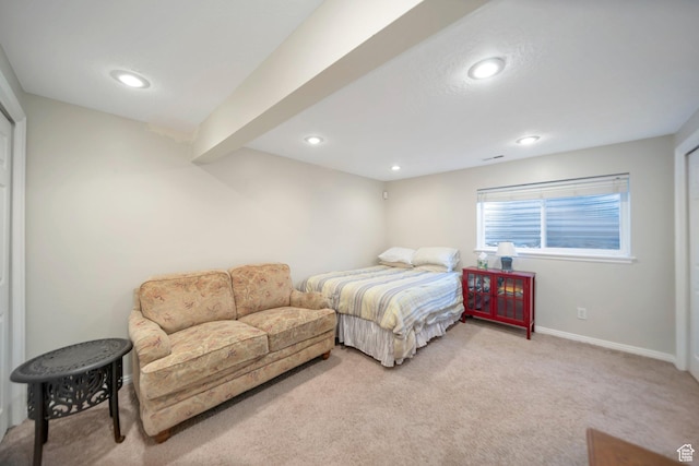 5116 W Crus Corvi Rd, West Jordan, UT 84081 - photo 19