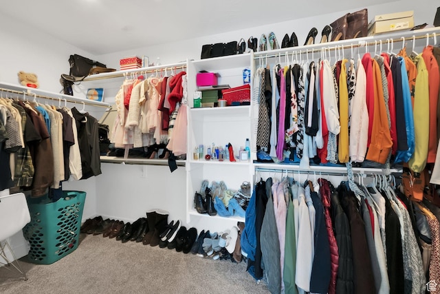 1373 E Bell Buoy Way S, Eagle Mountain, UT 84005 - spacious closet featuring carpet floors