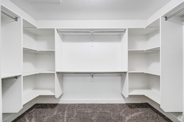 8052 N Rock Creek Cove Ln, Eagle Mountain, UT 84005 - spacious closet with dark carpet