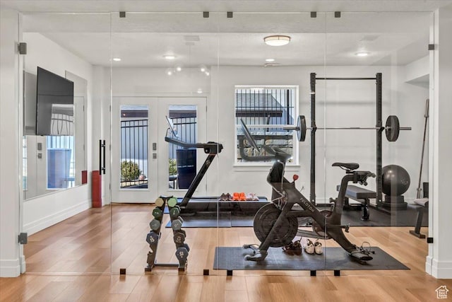 4875 N Vialetto Way, Lehi, UT 84043 - workout room featuring a wealth of natural light, wood finished floors, baseboards, and french doors