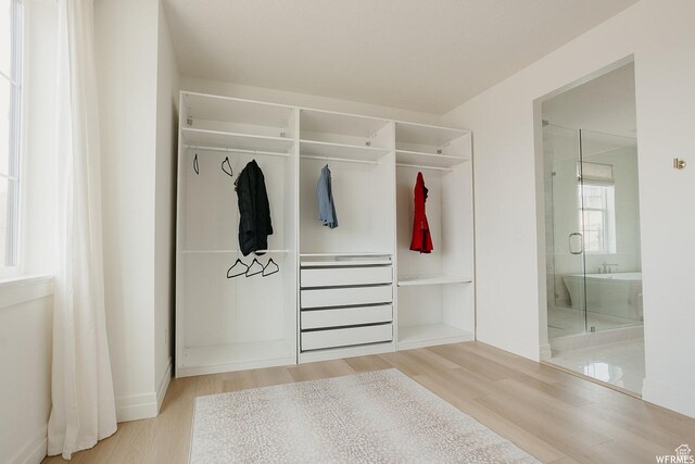 4875 N Vialetto Way, Lehi, UT 84043 - view of closet