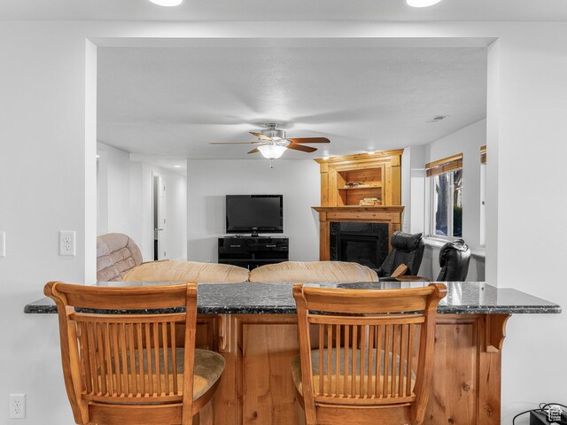 3265 N 1050 W, Pleasant View, UT 84414 - interior space with visible vents, ceiling fan, and a premium fireplace