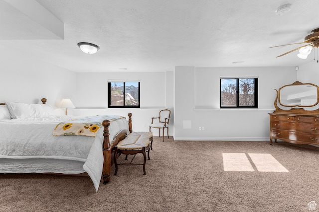 3265 N 1050 W, Pleasant View, UT 84414 - bedroom with baseboards, multiple windows, a textured ceiling, and carpet floors