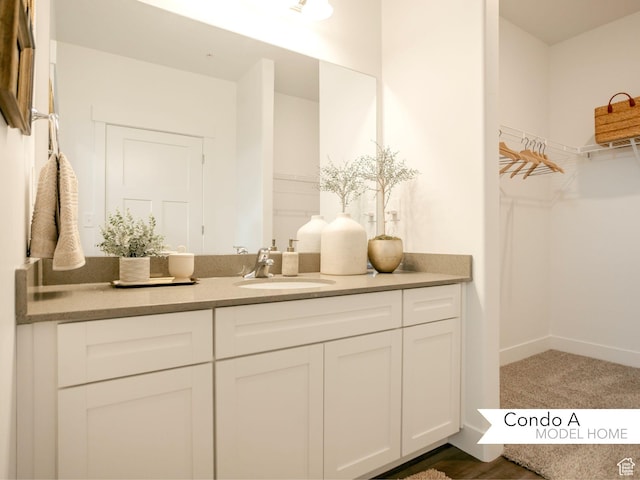 13687 S Hanley Ln Unit Dd102, Riverton, UT 84096 - bathroom featuring vanity, a walk in closet, and baseboards