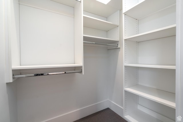 5790 Cobalt Cir, Park City, UT 84098 - view of spacious closet