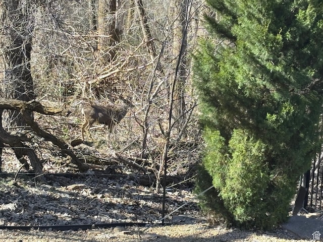 69 W Grove Creek Cir N, Farmington, UT 84025 - view of local wilderness