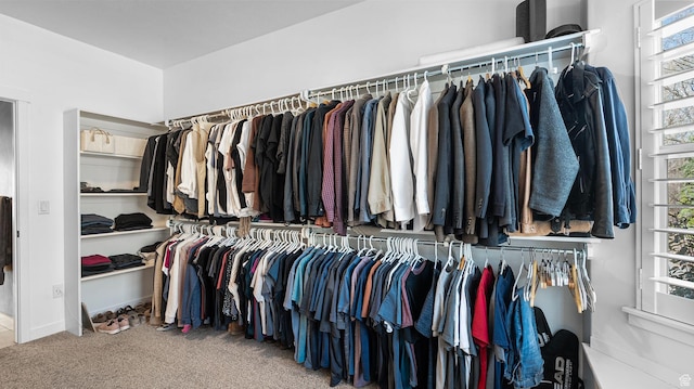 69 W Grove Creek Cir N, Farmington, UT 84025 - spacious closet with carpet