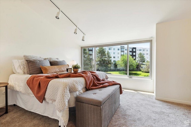 1231 E Brickyard Rd Unit 505, Millcreek, UT 84106 - carpeted bedroom featuring track lighting and baseboards