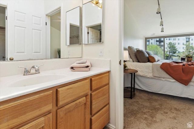 1231 E Brickyard Rd Unit 505, Millcreek, UT 84106 - ensuite bathroom featuring vanity and rail lighting