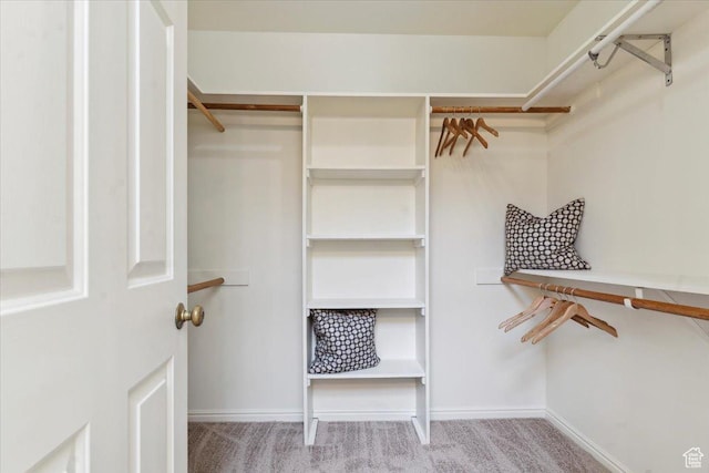 1231 E Brickyard Rd Unit 505, Millcreek, UT 84106 - spacious closet with carpet flooring