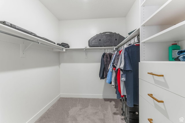 1639 E Yant Flant Dr, St George, UT 84790 - walk in closet featuring carpet flooring