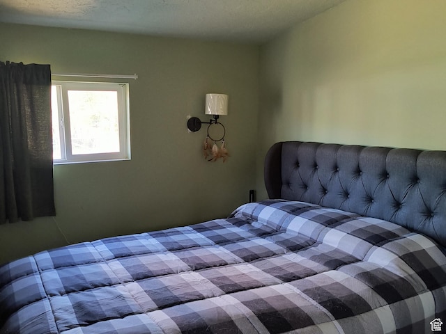 45 E Ivy St, Scofield, UT 84526 - photo 5