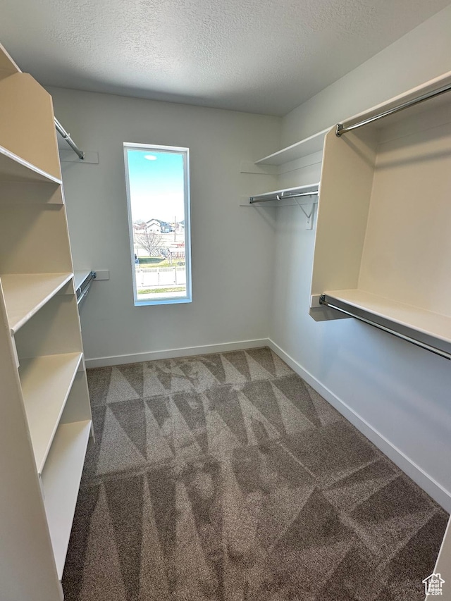 walk in closet with carpet flooring