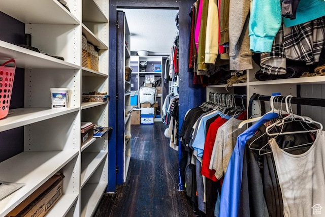 walk in closet featuring wood finished floors