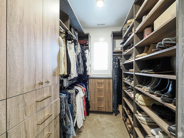 1146 W Jordan River Dr, South Jordan, UT 84095 - walk in closet with visible vents and light carpet