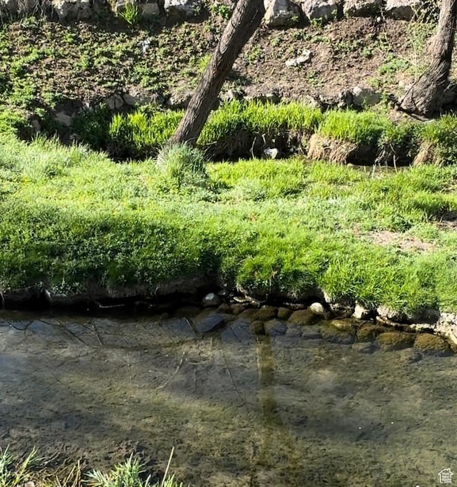 1146 W Jordan River Dr, South Jordan, UT 84095 - view of local wilderness