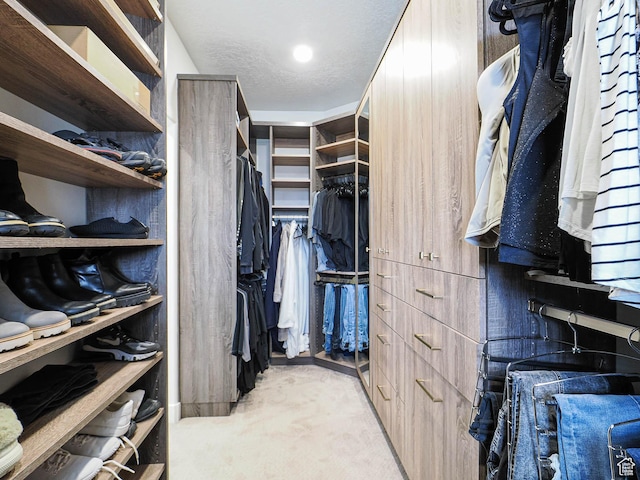 1146 W Jordan River Dr, South Jordan, UT 84095 - spacious closet with carpet floors