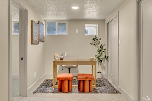 1662 E Browning Ave, Salt Lake City, UT 84105 - home office featuring baseboards, a textured ceiling, and carpet flooring