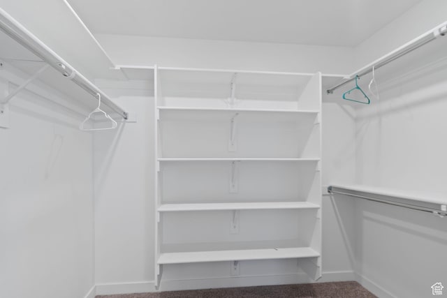 2256 E Emerald Ave Unit 208, Eagle Mountain, UT 84005 - spacious closet featuring carpet floors