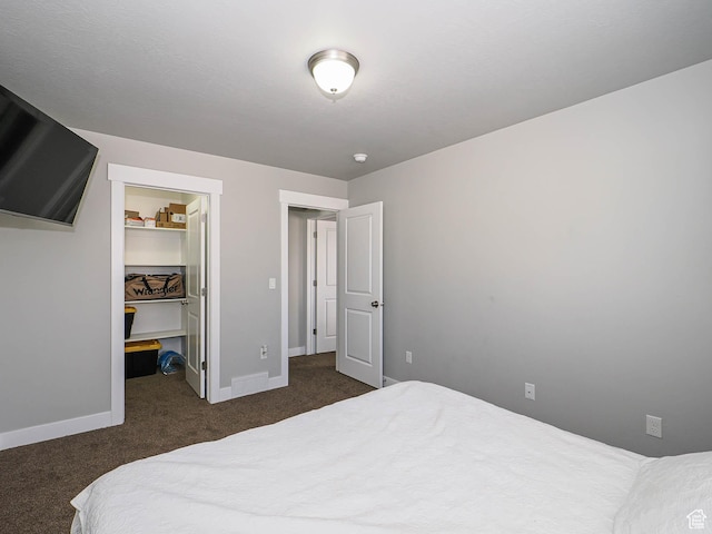 3765 E Cunninghill Dr, Eagle Mountain, UT 84005 - bedroom with a spacious closet, baseboards, dark colored carpet, and a closet