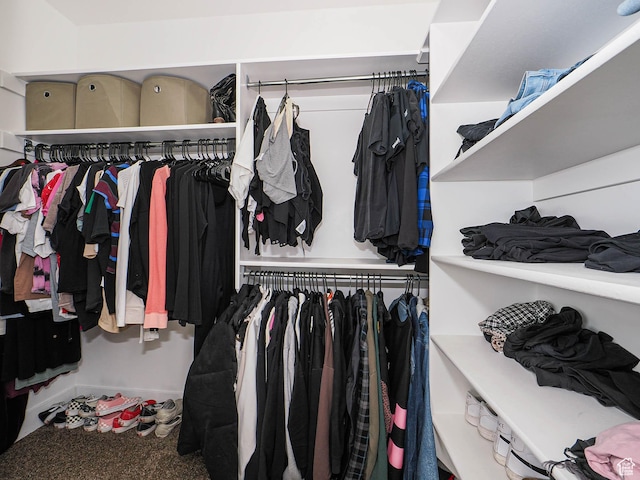 3765 E Cunninghill Dr, Eagle Mountain, UT 84005 - walk in closet with carpet flooring