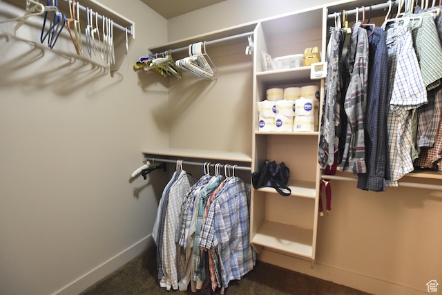 342 S 1250 E, Hyrum, UT 84319 - spacious closet featuring carpet flooring