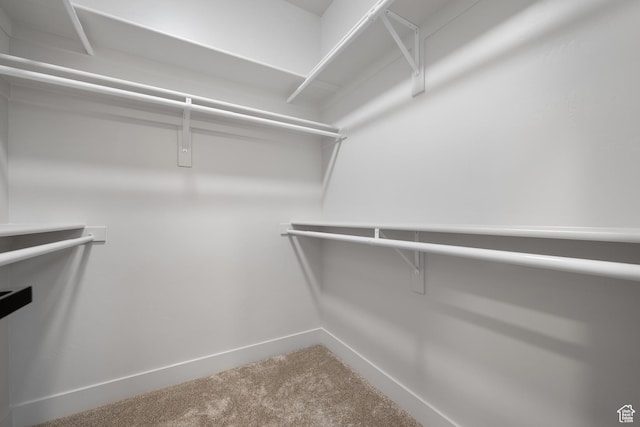 6317 W Cape Ridge Ln, West Valley City, UT 84128 - walk in closet featuring carpet flooring
