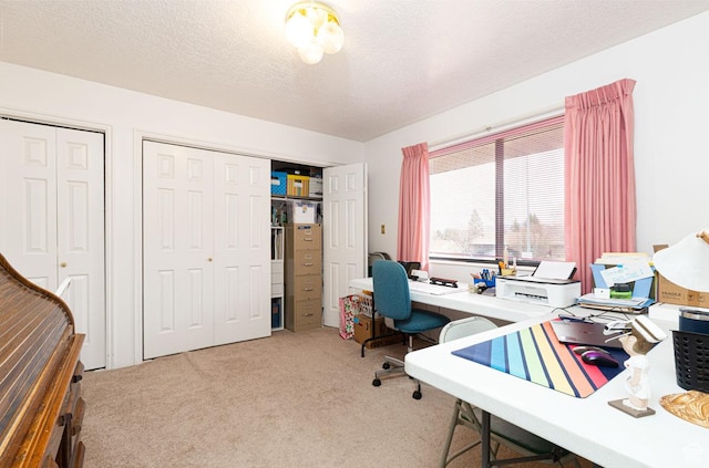 161 S Canyon Rd E, Parowan, UT 84761 - office area with carpet floors and a textured ceiling