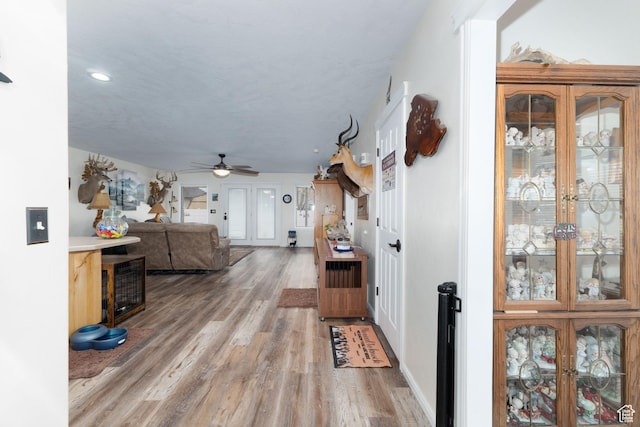 2922 S 500 E, Vernal, UT 84078 - foyer featuring light wood finished floors, ceiling fan, and recessed lighting