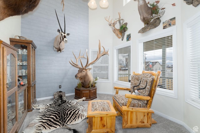 2922 S 500 E, Vernal, UT 84078 - sitting room featuring carpet floors, baseboards, and healthy amount of natural light